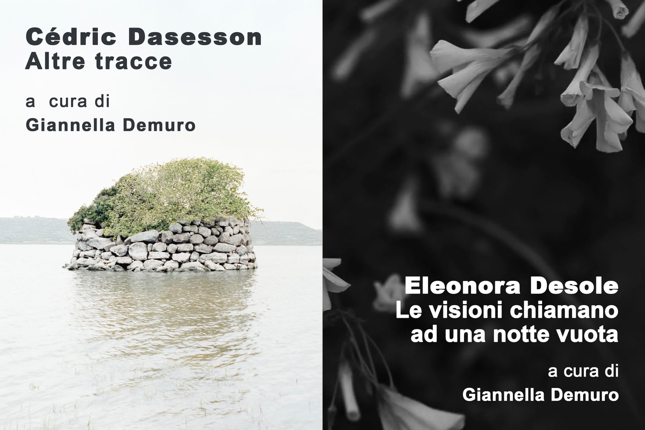 Nuove ciclo di mostre al Museo Organica: Eleonora Desole/ Cédric Dasesson